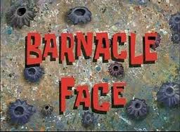 164a Barnacle Face.jpg