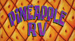 244b Pineapple RV.jpg