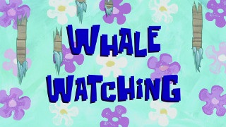 233a Whale Watching.jpg