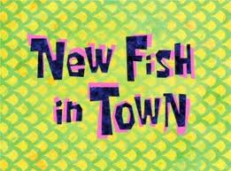 151a New Fish in Town.jpg