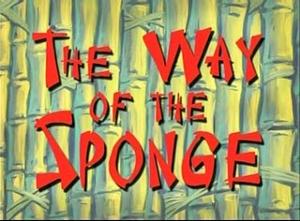 166b The Way of the Sponge.jpg