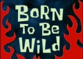 78a Born To Be Wild.jpg