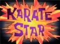 144b Karate Star.jpg