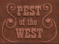 96 Pest of the West.jpg