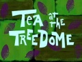 1c Tea at the Treedome.jpg