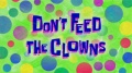 226b Don't Feed the Clowns.jpg