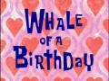 71a Whale of a Birthday.jpg